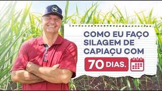 MEU SILO DE BRS CAPIAÇU FICOU MELHOR QUE SILAGEM DE MILHO E 50 MAIS BARATO [upl. by Temirf773]