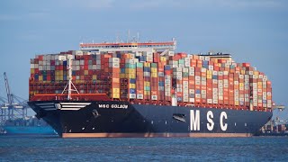 MSC GULSUN  New worlds largest containership departing the port of felixstowe 7919 [upl. by Hilario425]