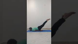 How to do Salabhasana The Locust Pose  Shalabhasana Hindi  Locust Yoga Pose Steps shorts [upl. by Indys574]