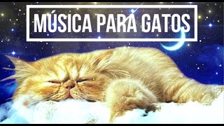 Música RELAJANTE para GATOS 😺😺 asustados y estresados 🧶🧶 [upl. by Ithsav]