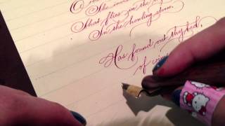 The Sick Rose in spencerian [upl. by Tedi]