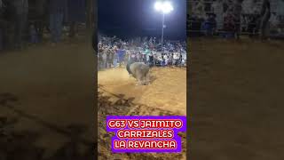 G63 VS JAIMITO CARRIZALES toros jaripeo rodeo cow g63 ranchoelaguaje [upl. by Saile]