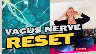 How To Regulate Your Nervous System  Vagus Nerve Reset polyvagaltheory [upl. by Lidaa897]