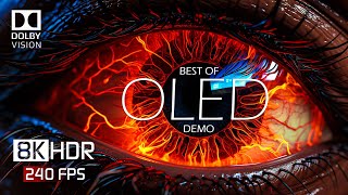 8K HDR 240 FPS Dolby Vision  Special OLED Demo [upl. by Acinnej]