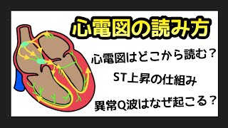 🔰心電図の読み方について解説します❗ [upl. by Theta]