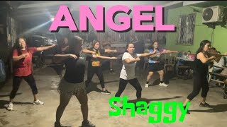 ANGEL  SHAGGY  REMIX  Zumba dance  Julian zumba [upl. by Nyvlem]