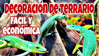 DECORACIÓN FACIL RAPIDA Y ECONÓMICA de un TERRARIO para REPTILES El increíble LAGARTO ESMERALDA [upl. by Nileuqcaj540]