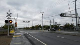 Meadowview Road Railroad Crossing Weird Malfunction [upl. by Tihw]