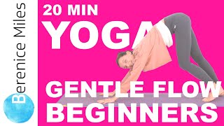 Yoga for BEGINNERS  20 minute Easy amp Gentle Hatha Yoga Flow [upl. by Alek]