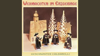 Weihnachten is stille Nacht A capella [upl. by Sregor]