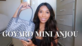 GOYARD MINI ANJOU REVIEW  SHEBAG [upl. by Dyche135]