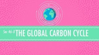 The Global Carbon Cycle Crash Course Chemistry 46 [upl. by Clementine]