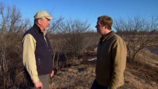 Clear Brush From Your Pond Dam [upl. by Gordie]