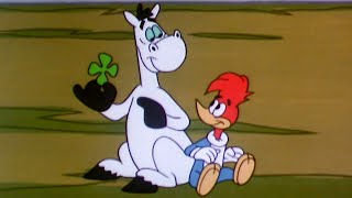 The Luckiest Woodpecker  25 Hours of Classic Episodes of Woody Woodpecker [upl. by Nhoj]