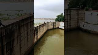 Penna river nellore barage [upl. by Nuahsak]