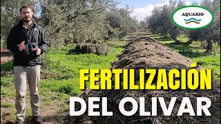 Cómo Realizar una Correcta Fertilización Orgánica del Olivar [upl. by Iosep]