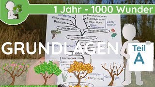 📚 1 Jahr  1000 Wunder  Grundlagen Teil A GeschichteEntwicklung  BotanikGrundlagenWissen [upl. by Kaitlynn540]