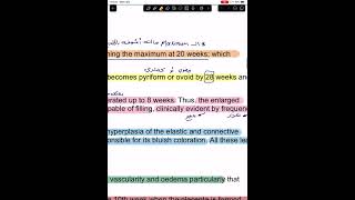 Physiology of pregnancy part 1 [upl. by Bonni]