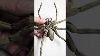 posable 3d printed spider for Halloween available on cults3d [upl. by Natan]