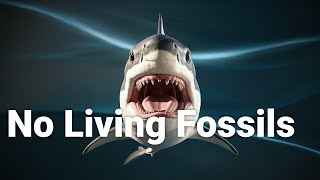 The Mystery of No Living Fossils Explained [upl. by Piscatelli780]