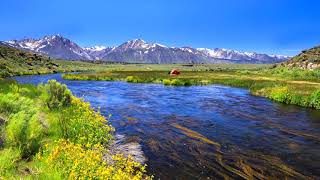 Along CA Hwy 395  A Photography Road Trip [upl. by Nutsud]