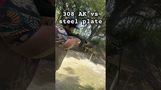 308 ak vs Steel plates [upl. by Tran]