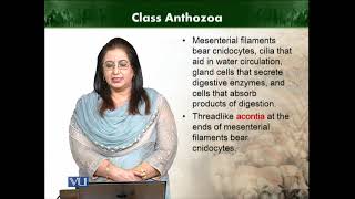 Class Anthozoa  Animal Diversity Invertebrates Theory  ZOO512TTopic045 [upl. by Giannini]