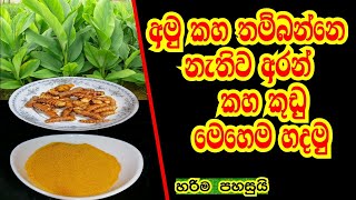 අමු කහ තම්බන්නෙ නැතිව කහ කුඩු හදන විදිය  IWUM PIHUM KALAWA [upl. by Joris]