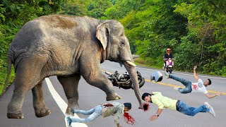 Elephant attack man in forest  Elephant encounter fun made movie [upl. by Mulloy477]