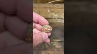 UNAKITE on a Saturday Morning michiganrocks lapidarist lapidarypolishing unakite lakesuperior [upl. by Lemon]