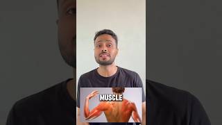 STOP Ignoring the Science Behind Muscle Soreness [upl. by Sartin215]