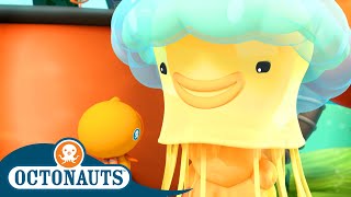 Octonauts  The Lions mane Jellyfish  Season 3  Full Episodes  Cartoons for Kids [upl. by Ellemac]