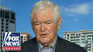 Newt Gingrich Democrats are absolutely fixed on their radical wing [upl. by Refanej]