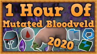 OSRS Mutated Bloodveld Slayer Guide 2020 [upl. by Danyluk]