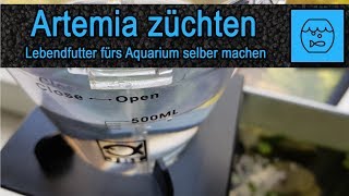 Artemia züchten und verfüttern  Lebendfutter selber machen  Fischfutter  JBL Artemio Set [upl. by Leahey]