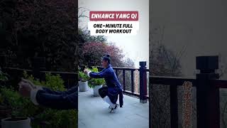 enhance yang qi martialarts health qigong [upl. by Hansen]