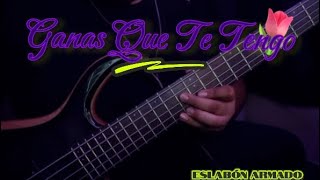 Ganas Que Te Tengo Eslabon armado Bass Cover [upl. by Eno418]