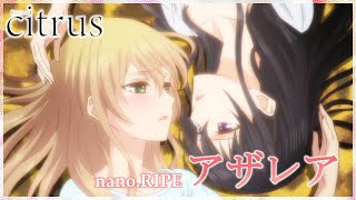 【公式】『citrus』OP主題歌 nanoRIPE「アザレア」ノンクレジット映像 [upl. by Zena702]