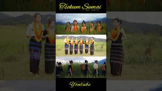 Tsokum Sumai  Mc Shiu Khiamniungan Song [upl. by Suivatal612]