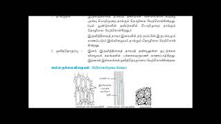 Grade 11 Science Unit 122 a Tamil medium [upl. by Freddy124]