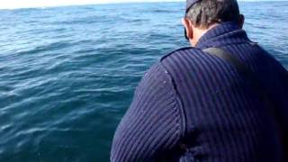 Commercial Snoek Fishing 2 [upl. by Zoldi]