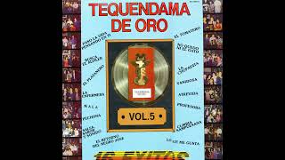 EL TEQUENDAMA DE ORO VOL 5  Varios [upl. by Hayikaz750]