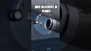 Why Aiplanes Dont Have Bird Blockers Explained [upl. by Brew]