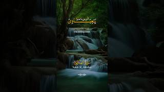 Ya ibadi allazina aamanu beautiful 😍recitation of Holy Quran ❤️islamicvideo ytshorts viralshorts [upl. by Aisel769]