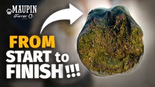 From Start To Finish  Satisfying Horse Hoof Restoration in 4K [upl. by Anaicul885]