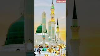 Sare nabion K ohde bade hein  best naat in the world [upl. by Ihcehcu]