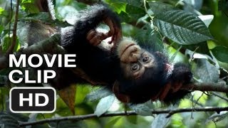 The Making Of Chimpanzee 2012 HD Exclusive [upl. by Ahsiekat329]