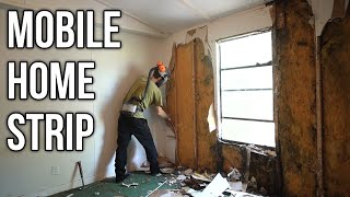 Gutting it Down to the Studs  1984 Mobile Home Rot and Mold Found [upl. by Ettennyl]