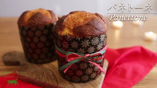 長時間熟成 しっとりパネトーネレシピ  フィリー市庁舎プロジェックションマッピング  Panettone Recipe  MikiNeko Kitchen [upl. by Ytima]