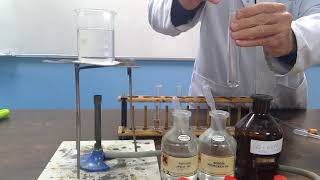 Demonstration of Tollens Reagent [upl. by Urd532]